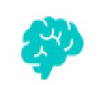 inicio icono cerebro